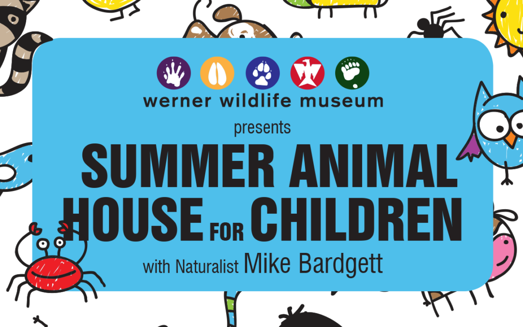 Free Summer Fun for Kids at Werner Wildlife Museum