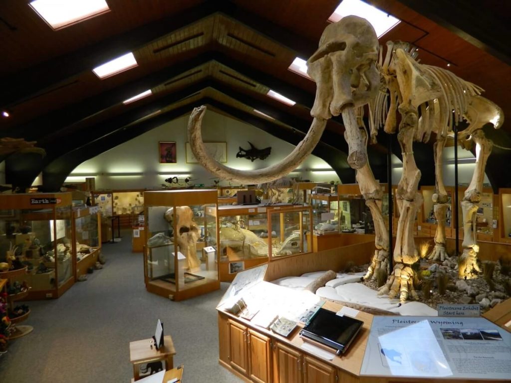 paleontology museums