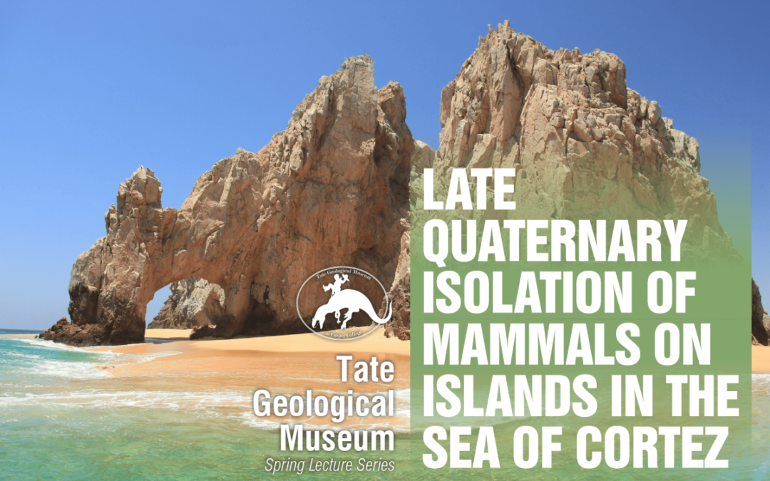 Mammals and the Sea of Cortez Final Topic of Tate Spring Lecture Series