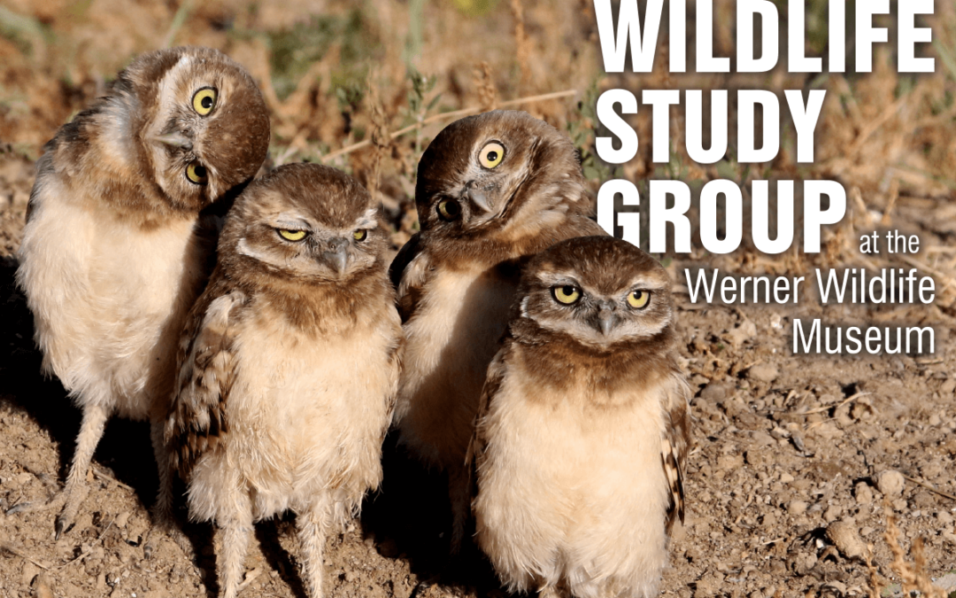 Balancing Wildlife and Energy Topic of Next Talk