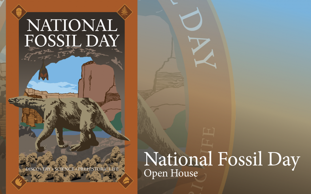 Fossil Day at Tate October 12
