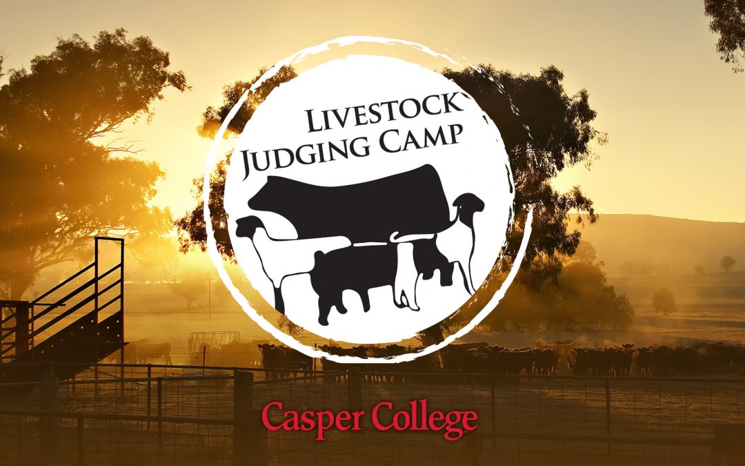 Casper College Livestock Judging Camp June 22-24