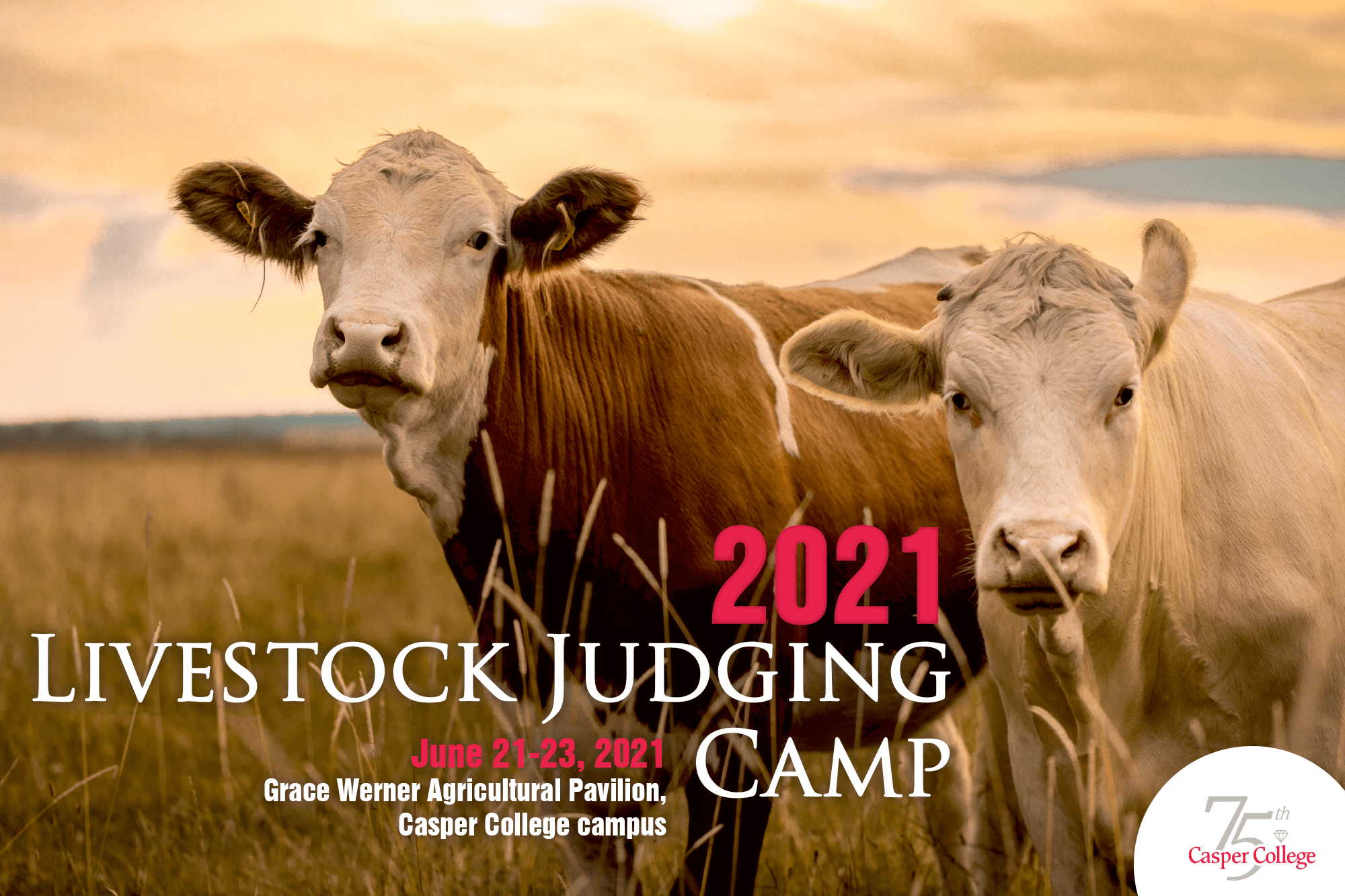 Few Spaces Remain For CC Judging Camp – Casper College