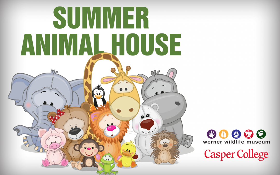 Animal habitats topic for August Animal House