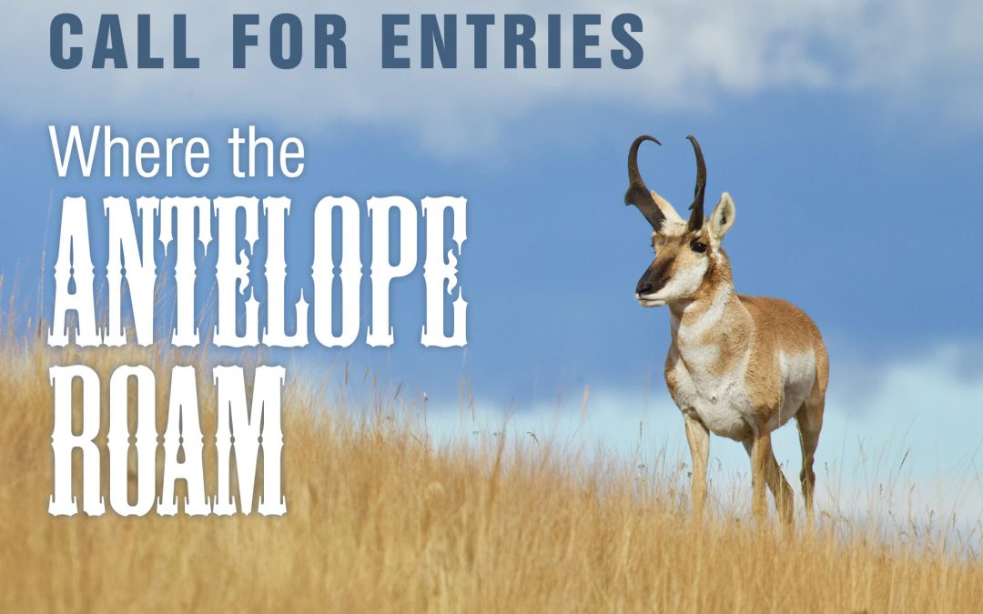 Entries now accepted for ‘Where the Antelope Roam’ juried show