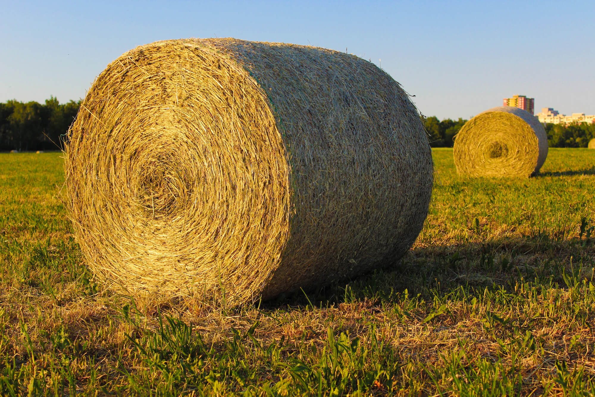 Casper College To Host Field Day At CC Ranch – Casper College