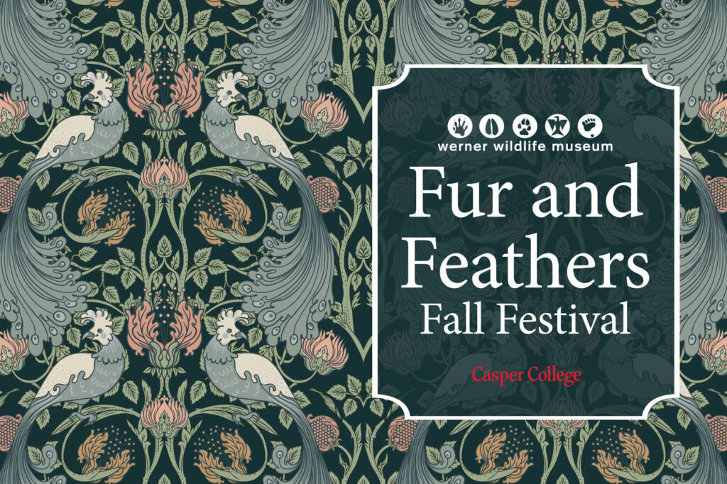 Image for Fur and Feathers Fall Festival press release.