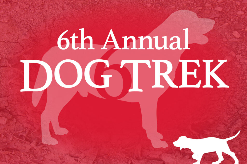 Image for the 6th Annual Dog Trek press release.