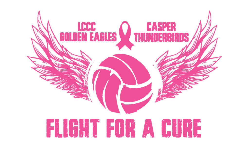 Image for "Flight for a Cure" press release.