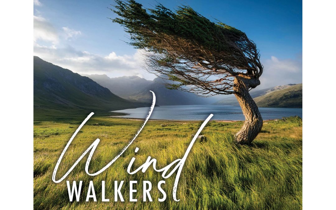 ‘Wind Walkers Artist Reception’ Tonight