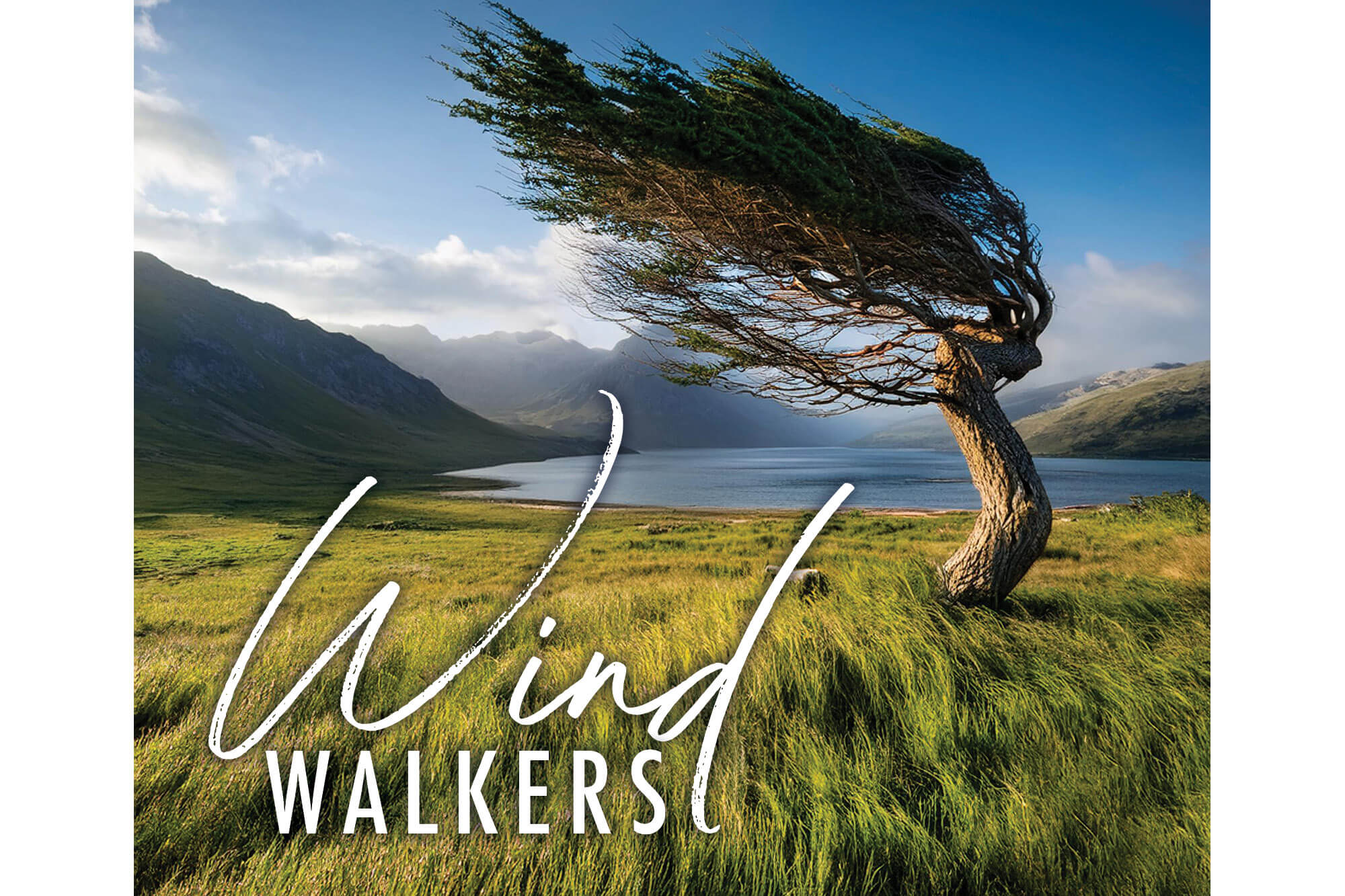 Image for Wind Walkers Artist Reception press release.