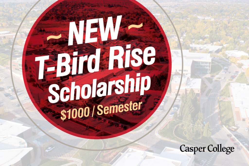 Image for T-Bird RISE Scholarship press release.