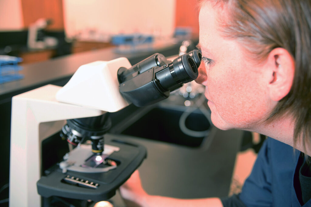 Student examines a specimen through a laboratory microscope during a medical laboratory technology lab.