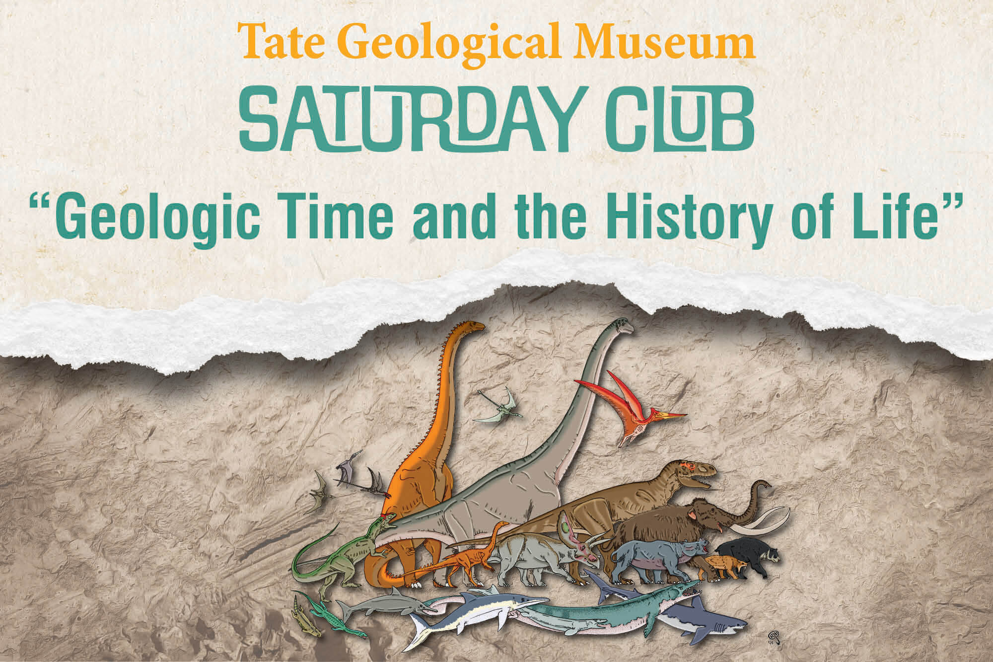 Image of dinosaurs and fossil fish for Sept. 2025 Tate Geoogical Museum Saturday Club.