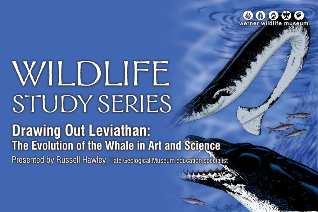 Image of prehistoric creatures swimming with the words "Wildlife Study Series."