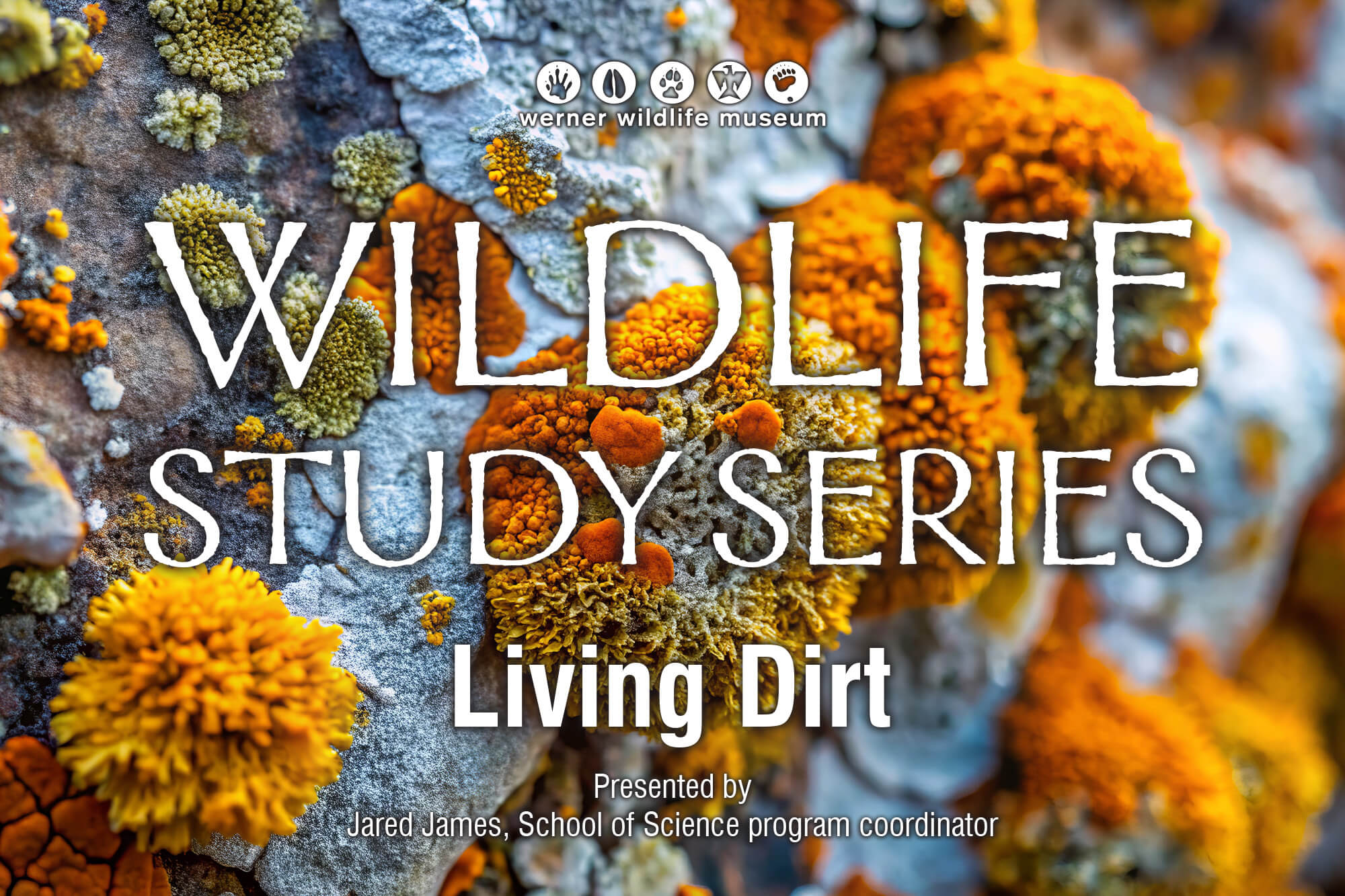 Image of lichens and mosses on the ground to illustrate the press release for the January 2026 Werner Wildlife Speaker Series.