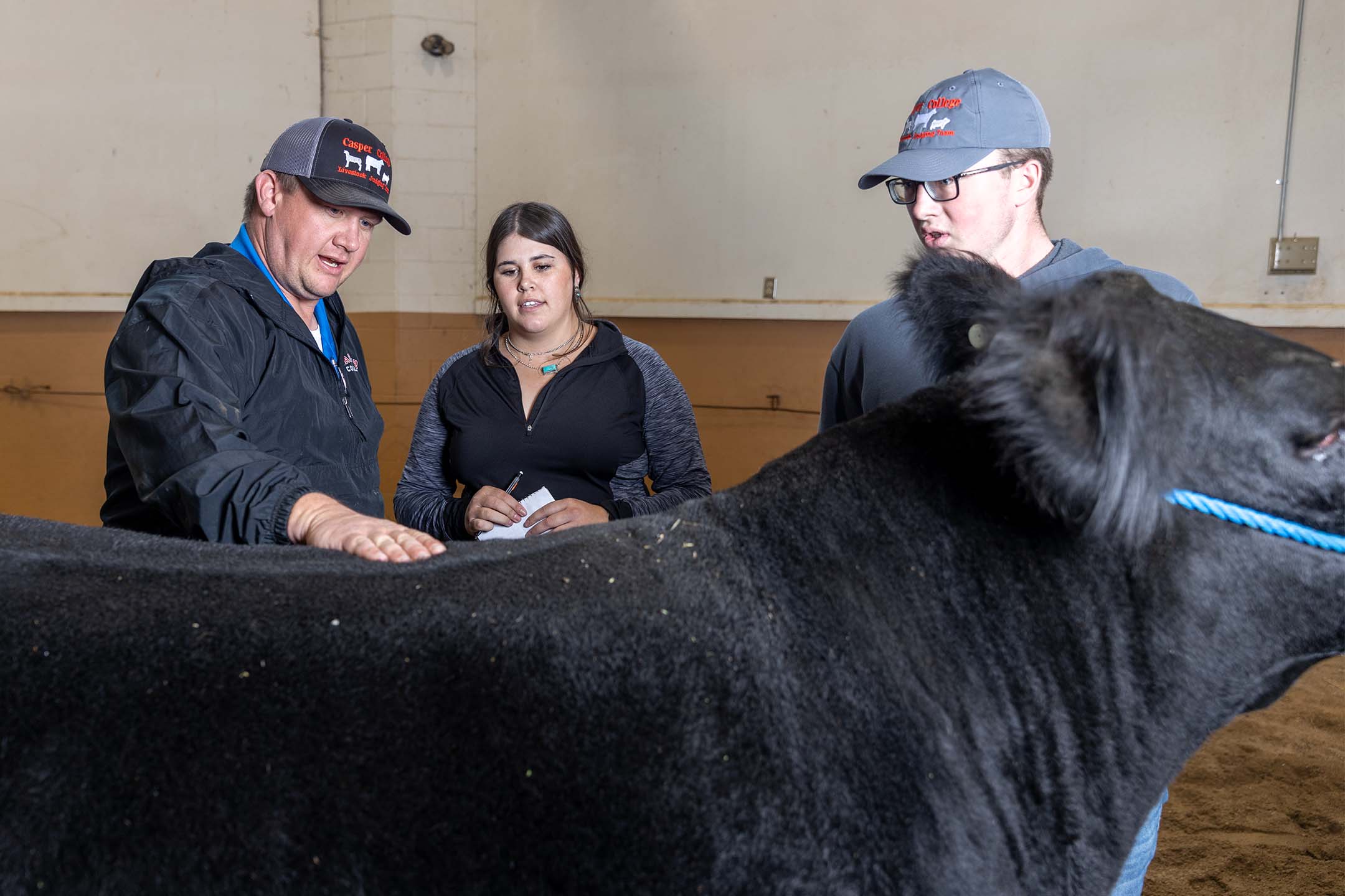 Instructor and students examining a cow in an agribusiness class