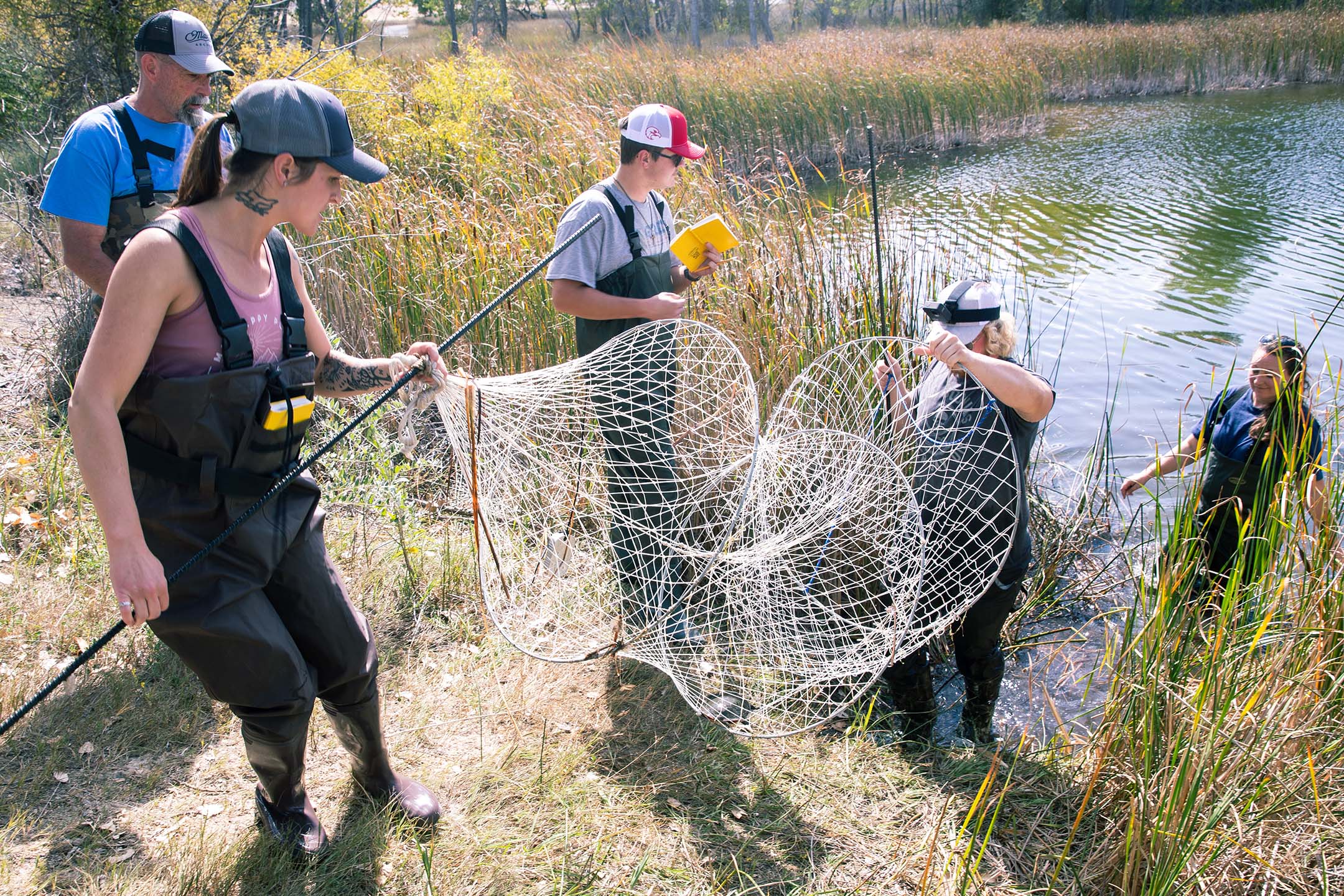 Wildlife and fisheries biology students with a net at a pond trying to catch fish