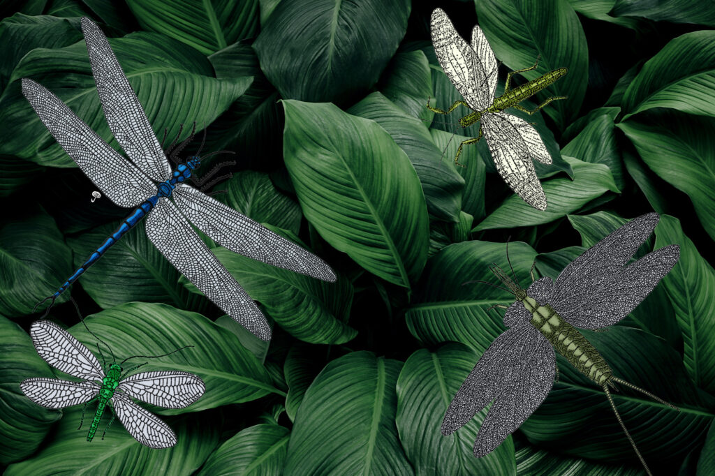Illustrated prehistoric insects, including a large blue Meganeura dragonfly and a green-bodied insect, on a background of dark green tropical leaves.