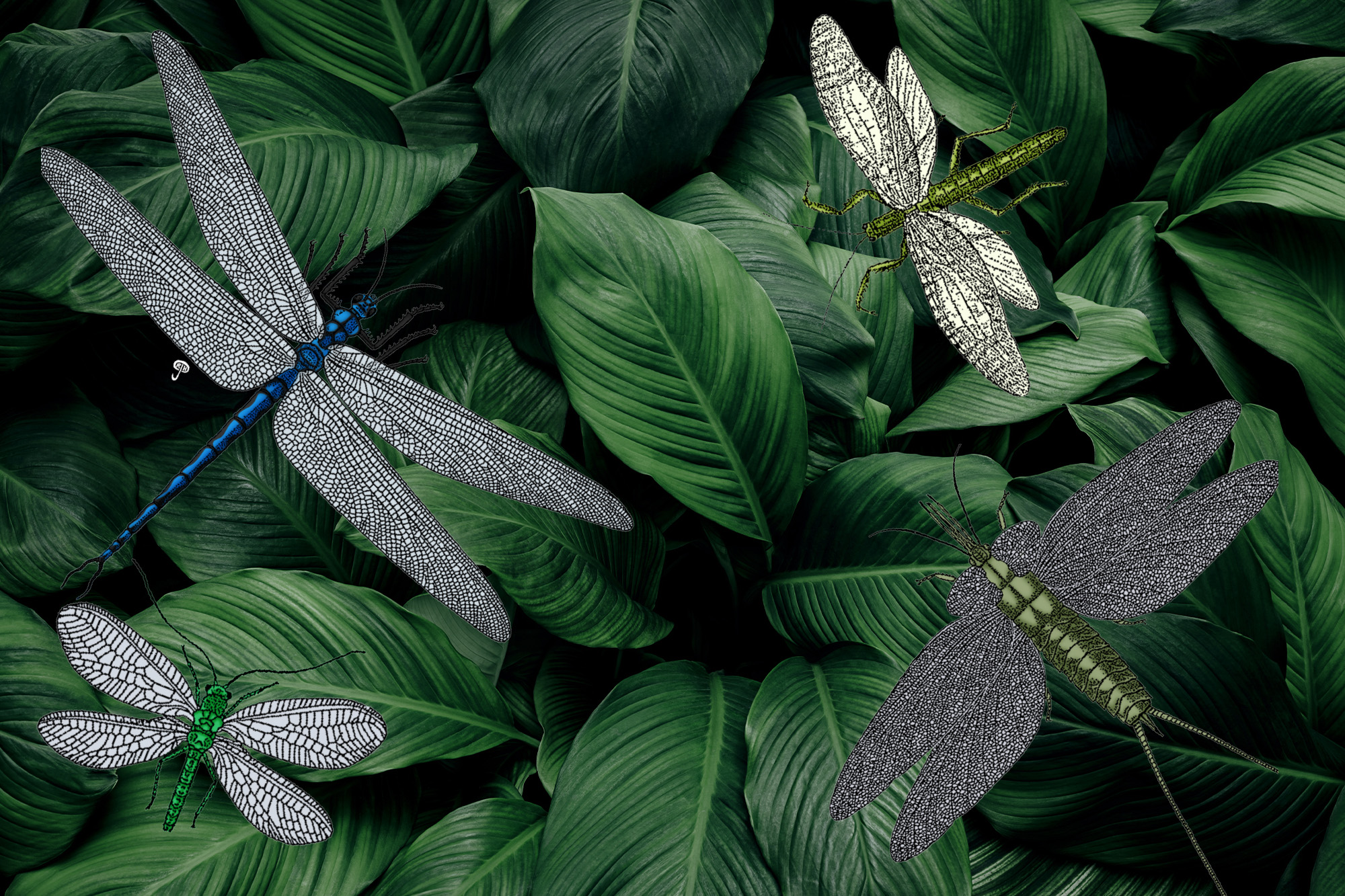 Illustrated prehistoric insects, including a large blue Meganeura dragonfly and a green-bodied insect, on a background of dark green tropical leaves.