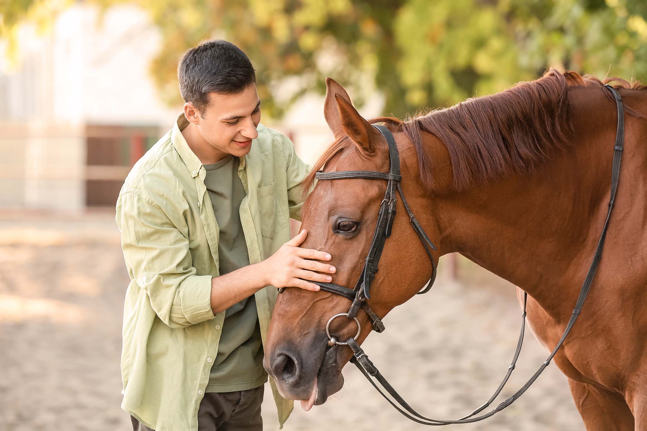 Person gently interacting with a horse outdoors. Equine assisted therapy