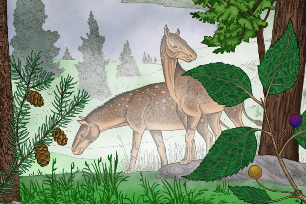 Illustration of prehistoric-style deer grazing among various evergreen and deciduous trees with detailed leaves and pinecones.