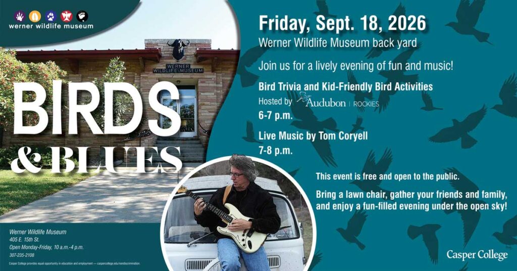 Promotional flyer for an event titled "Birds & Blues" at the Werner Wildlife Museum back yard on Friday, Sept. 18, 2026. The graphic features a photo of the museum building on the left and a teal background with dark bird silhouettes on the right. It advertises "Bird Trivia and Kid-Friendly Bird Activities" hosted by Audubon Rockies from 6-7 p.m., and "Live Music by Tom Coryell" from 7-8 p.m., accompanied by a circular inset photo of Coryell playing a white electric guitar. Text notes the event is free and open to the public, encouraging attendees to bring a lawn chair. Logos for the Werner Wildlife Museum and Casper College are included.