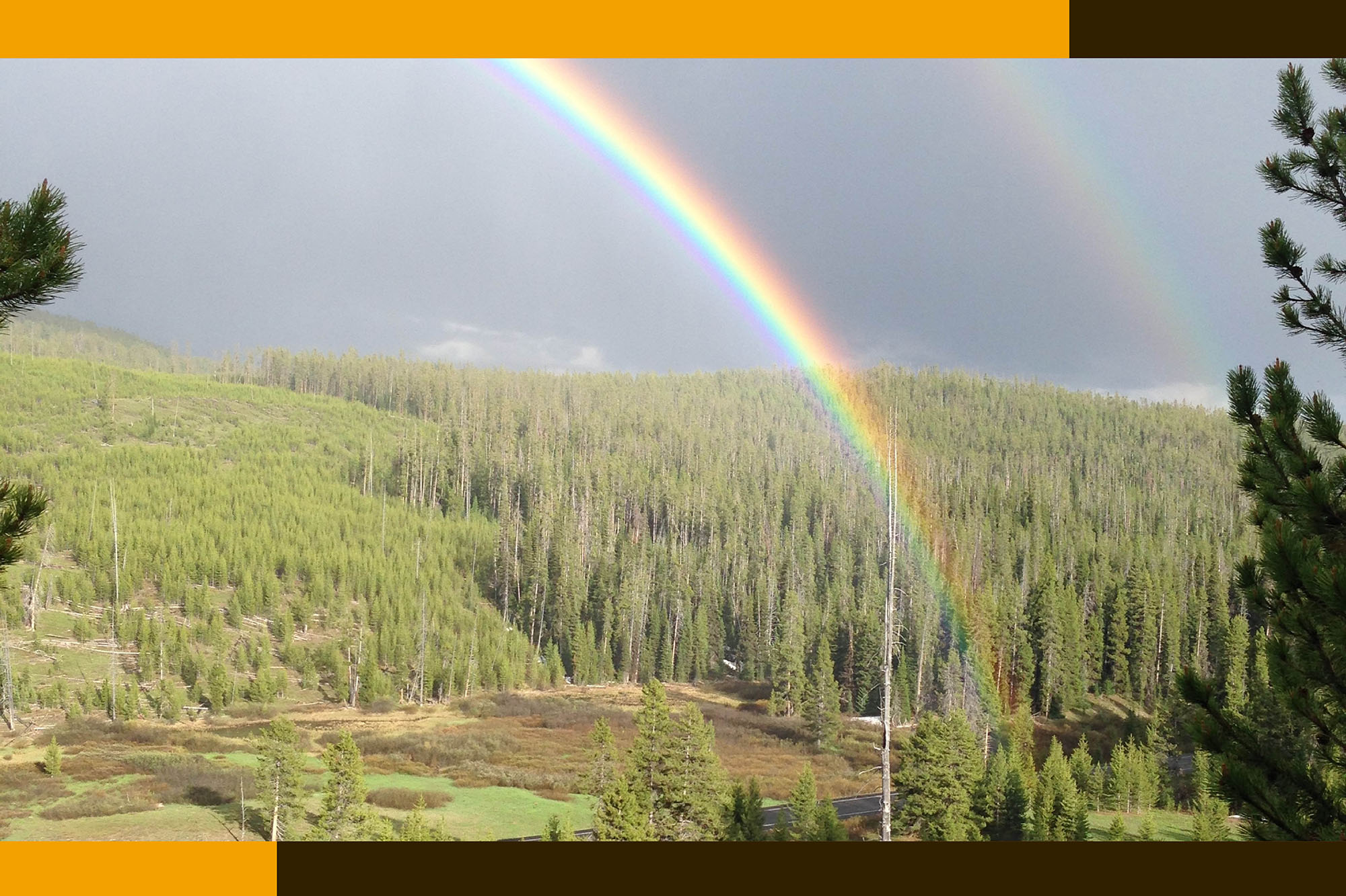 Rainbow over a Wyoming forest illustrating Chance and A Tumbleweed Trail Through Academia Zimmerman Biology Lecture