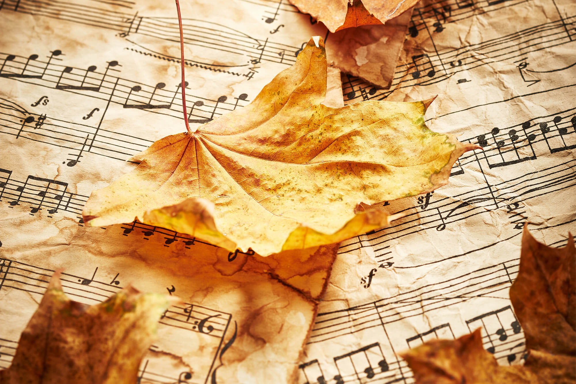 Vintage sheet music with dried autumn leaves announcing the Casper College Fall Collage Concert