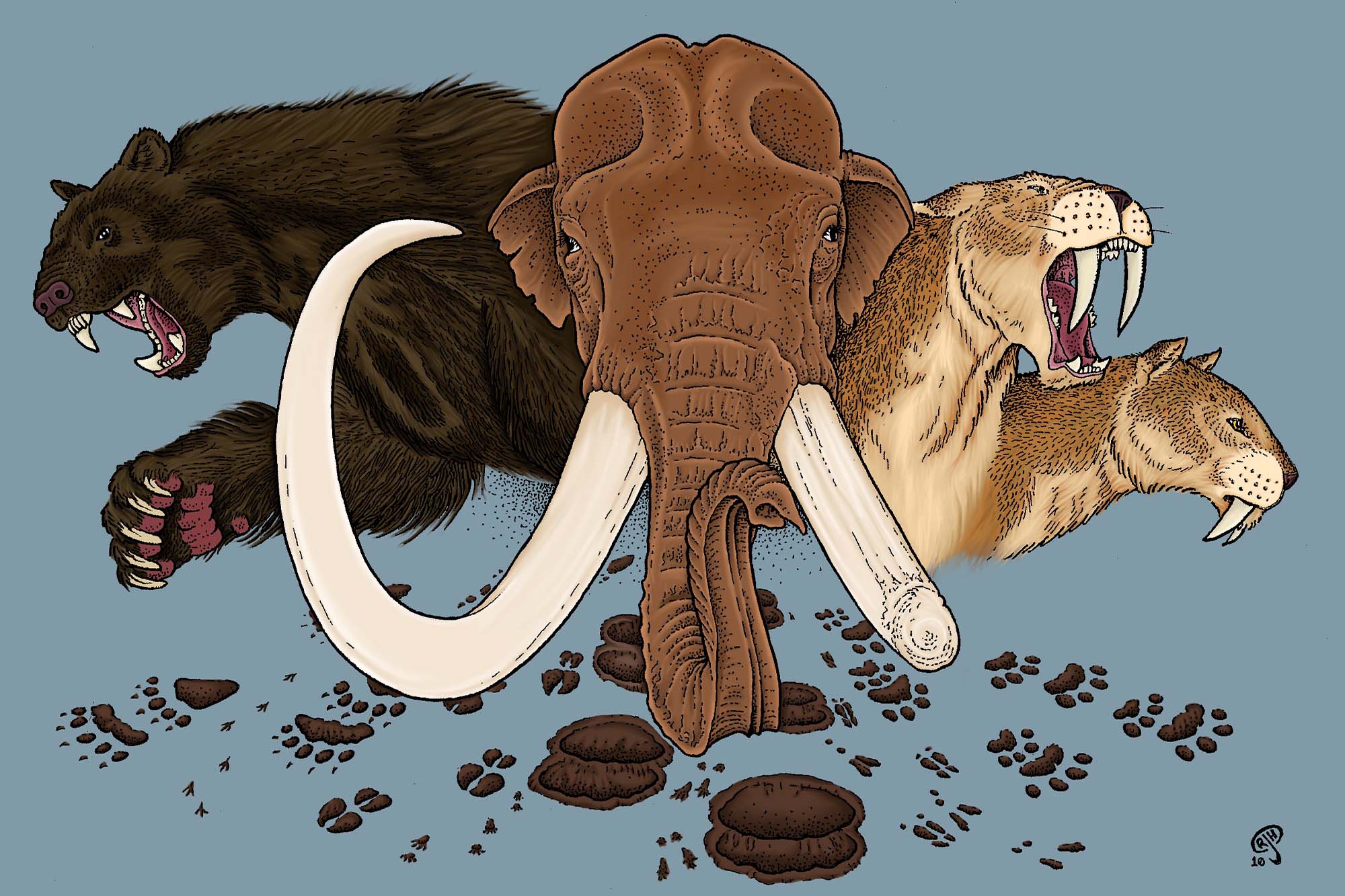 Illustration of spectacular ice-age mammals including mammoths and a saber-toothed cat at the Tate Geological Museum.